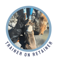 Dog Trainer on Retainer-3-1